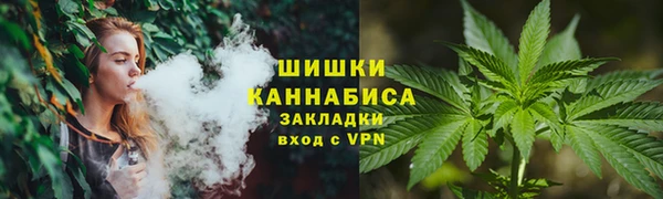 PSILOCYBIN Вязники