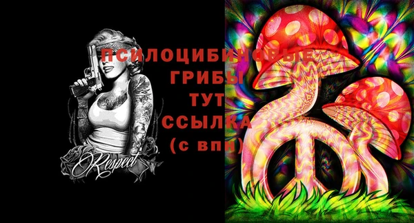 PSILOCYBIN Вязники