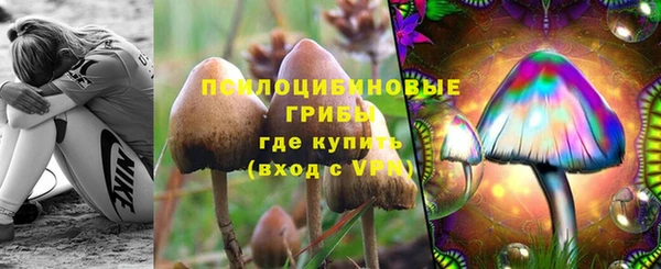 PSILOCYBIN Вязники