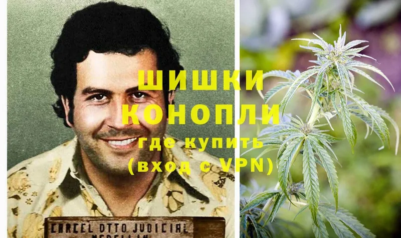 где можно купить наркотик  Отрадная  Шишки марихуана Bruce Banner 